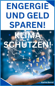 Energie und Geld sparen! Klima schüten! Ratgeber | eBook